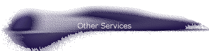 Other Services